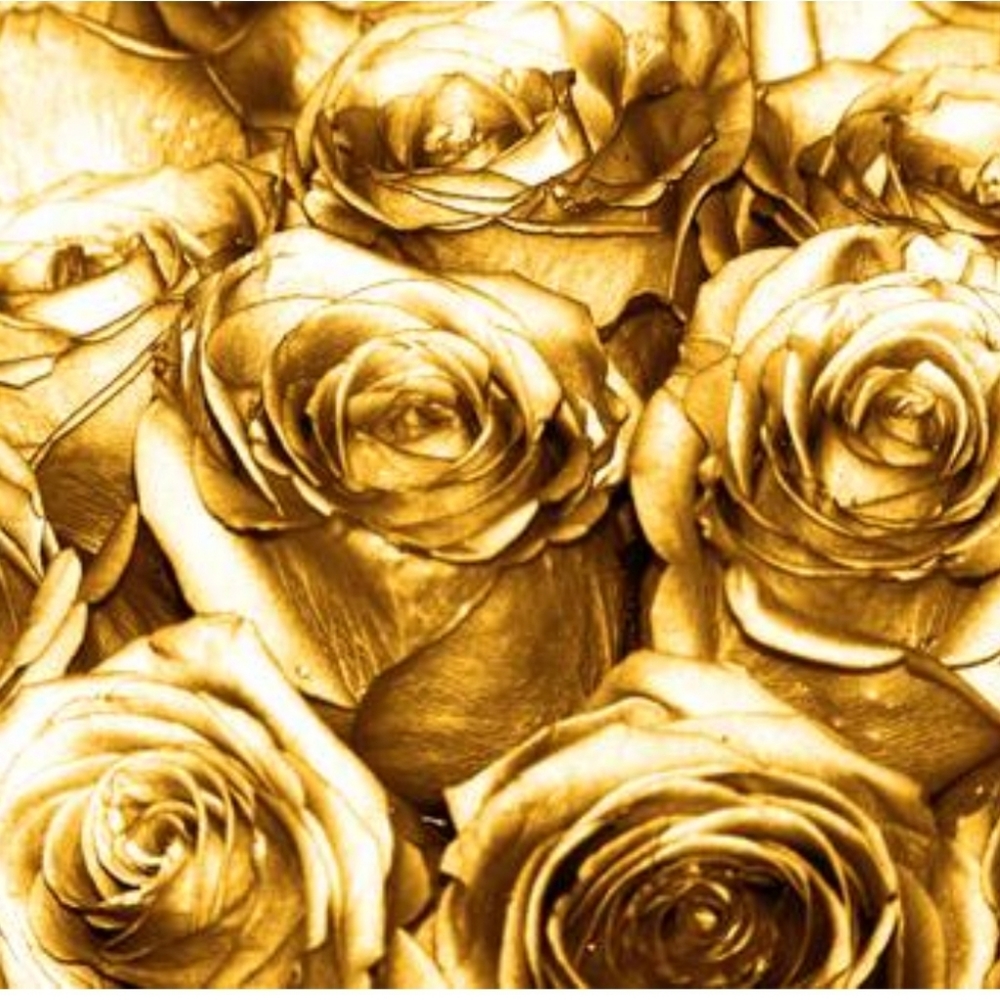 Meet your Posher, Tanya